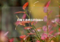 闪耀王者峡谷的剑仙ID