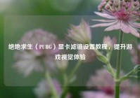 绝地求生（PUBG）显卡滤镜设置教程，提升游戏视觉体验