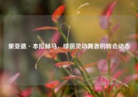 里亚德·本拉赫马，绿茵灵动舞者的转会动态