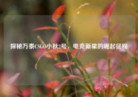 探秘万泰CSGO小秋2号，电竞新星的崛起征程