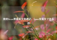 我的Steam界面英文奇遇记，Steam变英文了怎么改
