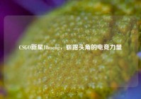 CSGO新星18meng，崭露头角的电竞力量