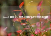 Steam土耳其区，优势与风险交织下的价格探秘