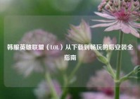 韩服英雄联盟（LOL）从下载到畅玩的后安装全指南
