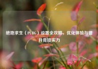 绝地求生（PUBG）设置全攻略，优化体验与提升竞技实力