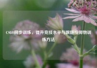CSGO同步训练，提升竞技水平与跟随投掷物训练方法
