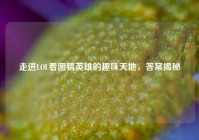 走进LOL看图猜英雄的趣味天地，答案揭秘