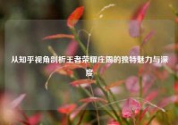 从知乎视角剖析王者荣耀庄周的独特魅力与深度