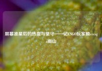 屏幕准星后的热血与坚守——记CSGO玩家楠ercsgo南山