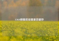 CSGO卸载后设置是否留存