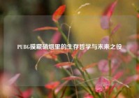 PUBG摸藏硝烟里的生存哲学与末来之役