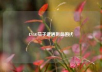 CSGO茄子遭遇刺鼻困扰