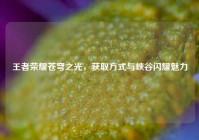 王者荣耀苍穹之光，获取方式与峡谷闪耀魅力