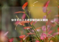 快手平台上王者荣耀的搞笑瞬间