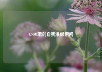 CSGO里的自我爆破瞬间