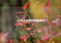 LOL等待间隙的惬意瞬间