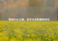 我的PUBG之旅，名字卡点的独特印记