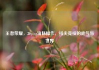 王者荣耀，30ping流畅操作，指尖竞技的底气与世界