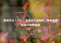绝地求生（PUBG）爬坡技巧全解析，掌握高地优势的攀爬秘籍
