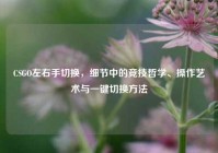 CSGO左右手切换，细节中的竞技哲学、操作艺术与一键切换方法