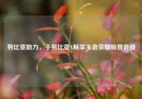 努比亚助力，于努比亚X畅享王者荣耀极致竞技