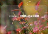 CSGO小661，电竞舞台的璀璨新星