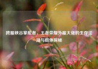 跨服峡谷掌舵者，王者荣耀外服大佬的生存江湖与群体探秘