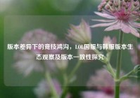 版本差异下的竞技鸿沟，LOL国服与韩服版本生态观察及版本一致性探究