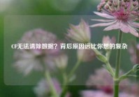 CF无法清除数据？背后原因远比你想的复杂