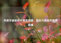 华晨宇邂逅和平精英直播，音乐与竞技的奇妙碰撞