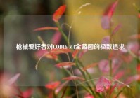枪械爱好者对COD16 M4全蓝图的极致追求