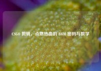CSGO 剪辑，点燃热血的 BGM 密码与教学
