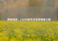 跨越语言，CSGO与老外交流常用语之旅