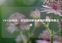 CW CSGO战队，从校园到职业赛场的热血突围之路
