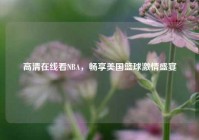 高清在线看NBA，畅享美国篮球激情盛宴