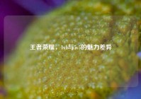 王者荣耀，1v1与5v5的魅力差异