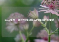 Steam平台，新手到成功商人的经商进阶策略