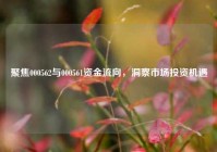 聚焦000562与000561资金流向，洞察市场投资机遇