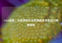 CSGO皮肤，从装饰到文化的演进及未来潜力周期探析