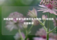 深度剖析，皇家马德里的实力拼图——球员阵容图解读