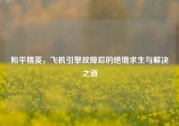 和平精英，飞机引擎故障后的绝境求生与解决之道