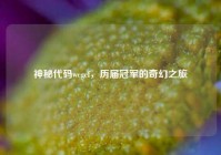 神秘代码wcgcf，历届冠军的奇幻之旅