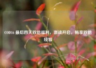 COD16 最后四天双倍福利，激战开启，畅享双倍经验