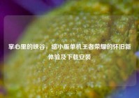 掌心里的峡谷，缩小版单机王者荣耀的怀旧新体验及下载安装