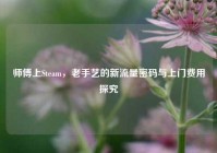 师傅上Steam，老手艺的新流量密码与上门费用探究