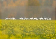 深入剖析，LOL帧数减少的原因与解决办法
