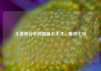 王者峡谷中的倔强小天才，鲁班七号