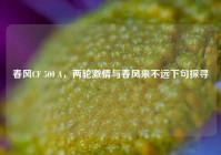 春风CF 500 A，两轮激情与春风来不远下句探寻