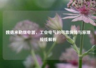 魏德米勒继电器，工业电气的可靠保障与原理接线解析