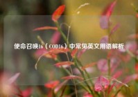使命召唤16（COD16）中常见英文用语解析